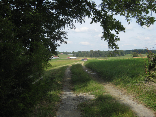 road across the pasture